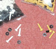 Racing Plate Screws