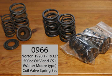 Walter Moore CS1 Valve Springs